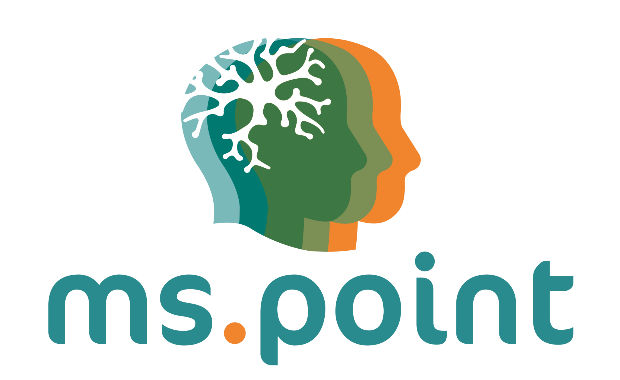 MS-Point